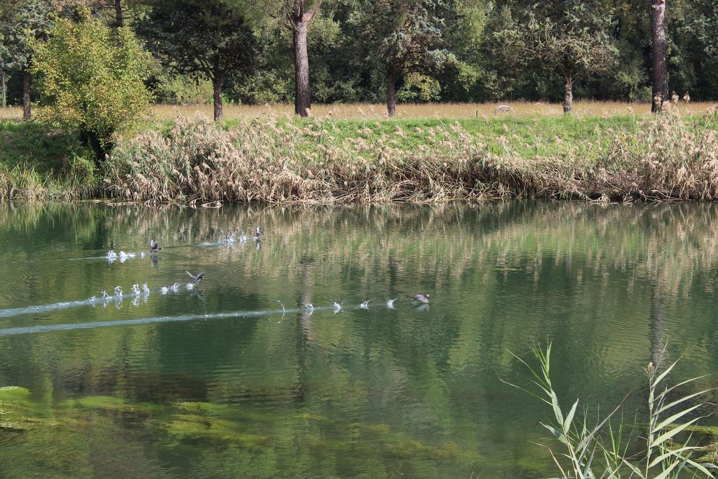 L' Antico Casale Agroturismo Le Marmore
